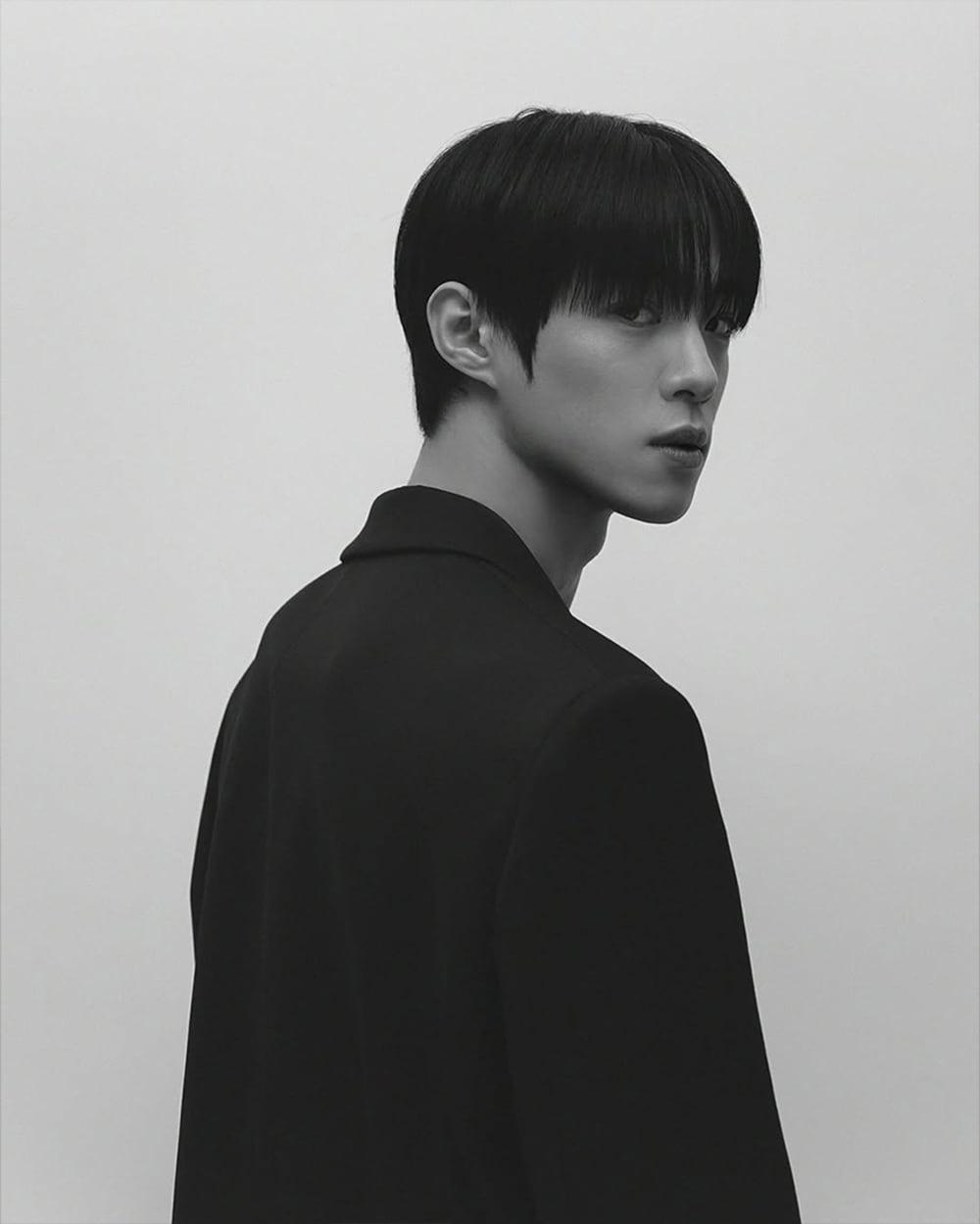 본문 이미지 - 강리한/에스팀 제공