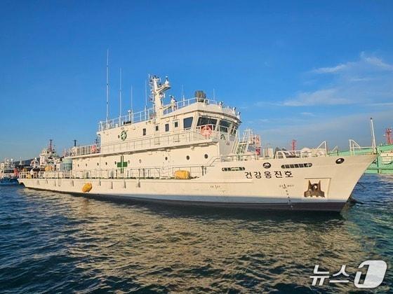 본문 이미지 - 건강옹진호/뉴스1