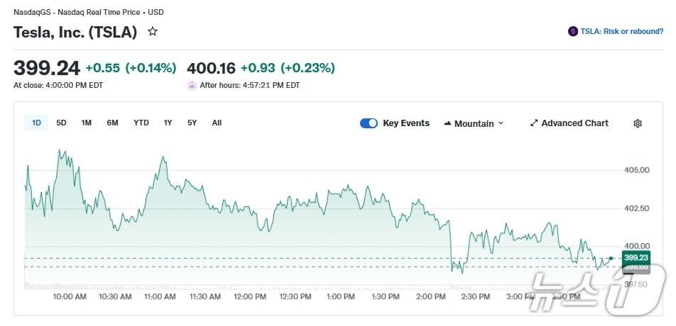 본문 이미지 - 테슬라 일일 주가 추이 - 야후 파이낸스 갈무리