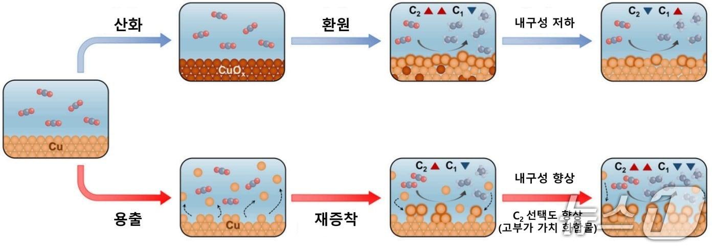 본문 이미지 - 구리 촉매에서 발생하는 두 가지 표면 재구성 경로를 비교한 모식도(KAIST 제공) /뉴스1