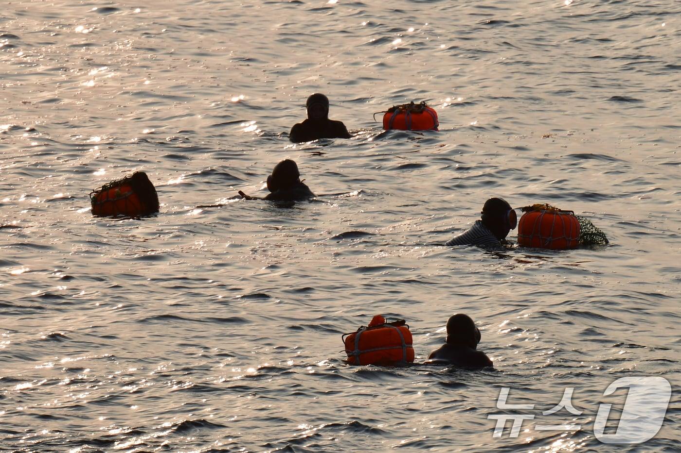 본문 이미지 - 11일 오전 경북 포항시 북구 환여동 해안에서 해녀들이 아침 조업을 하고 있다. 2026.3.11 ⓒ 뉴스1 최창호 기자