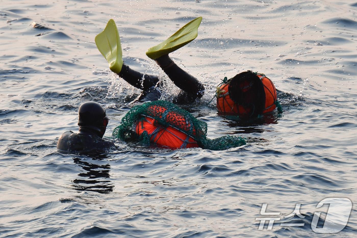 본문 이미지 - 11일 오전 경북 포항시 북구 환여동 해안에서 해녀들이 해산물을 채취하고 있다. 2026.3.11 ⓒ 뉴스1 최창호 기자