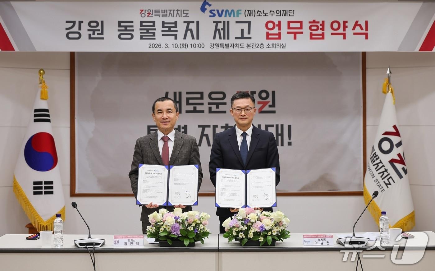 본문 이미지 - 소노수의재단(이사장 이병천)과 강원도(도지사 김진태)는 10일 도청 본관 소회의실에서 유기묘 입양·반려동물 의료지원 확대를 위한 업무협약을 체결했다.(소노인터내셔널 제공. 재판매 및 DB금지)/뉴스1