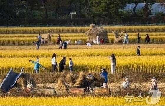 본문 이미지 -  지난해 제천 의림지 농경문화예술제.(자료사진)/뉴스1