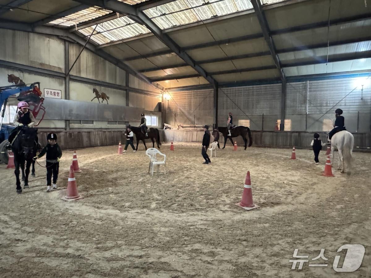 본문 이미지 - 승마체험을 하고 있는 학생들 모습.(용인시 제공)