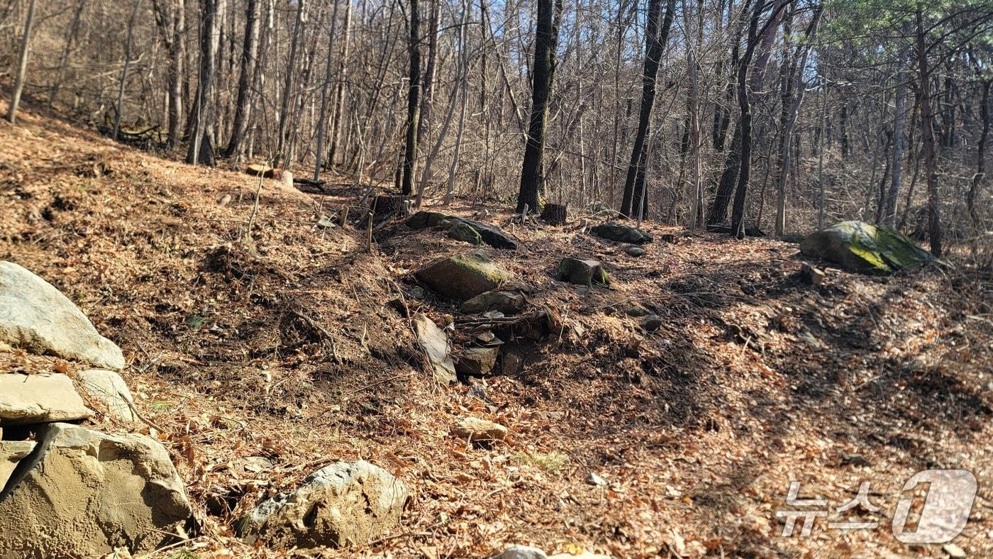 본문 이미지 - 충북 청주 상당산성 옛길의 경사가 완만한 곳에 베어진 나무.2026.3.3/뉴스1 임양규 기자