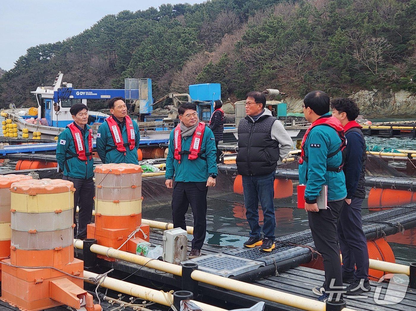 본문 이미지 - 경남도 관계자들이 저수온 특보가 발효된 해역의 한 양식장에서 저수온 대응 상황을 점검하고 있다.(경남도 제공. 재판매 및 DB금지)
