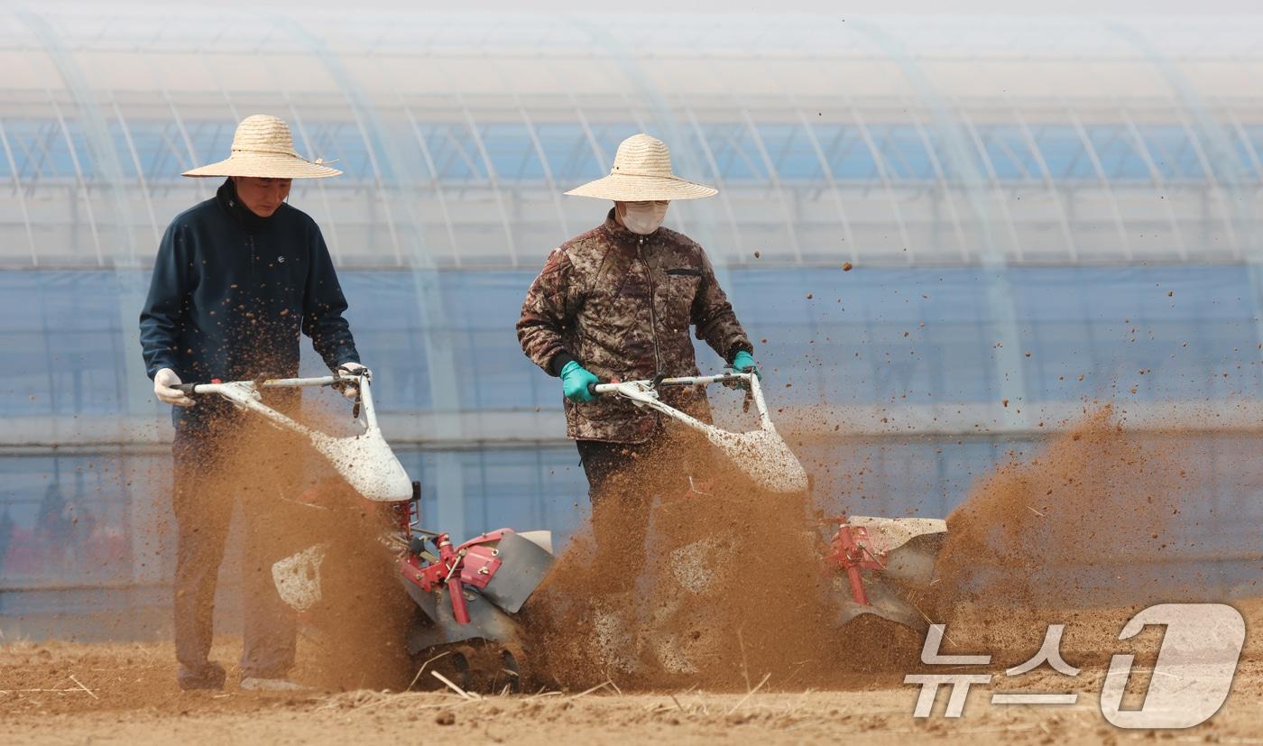 본문 이미지 - 자료사진 ⓒ 뉴스1 김영운 기자
