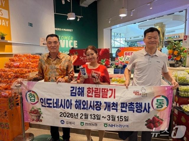 본문 이미지 - 김해시가 인도네시아 자카르타에서 한림 딸기 판촉행사에 나서고 있다.(김해시 제공. 재판매 및 DB금지)