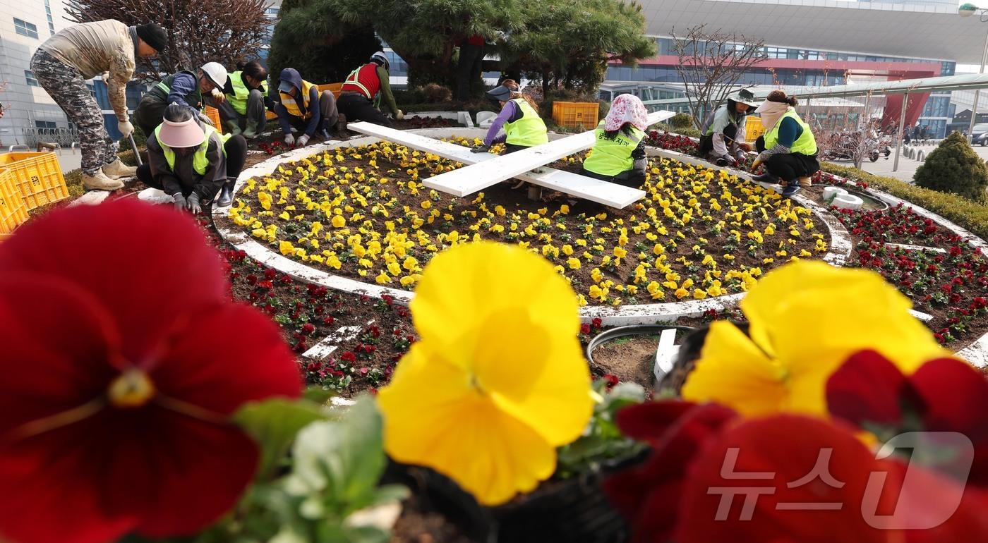 본문 이미지 - 13일 대전·충남은 대부분의 지역에 아침 기온이 영하권을 보일 것으로 예보됐다. 대전역 서광장에서 동구청 관계자들이 새봄을 맞아 봄꽃을 식재하고 있다. ⓒ 뉴스1 김기태 기자