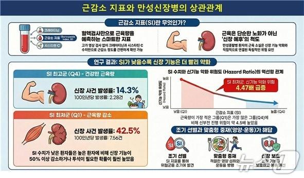 본문 이미지 - 근감소 지표와 만성신장병 진행 위험의 연관성 요약도.(질병관리청 제공)