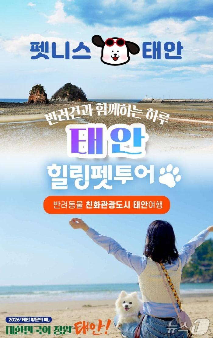 본문 이미지 - ‘펫니스 댕댕투어’운영 포스터(태안군 제공. 재판매 및 DB금지)2026.3.12/뉴스1