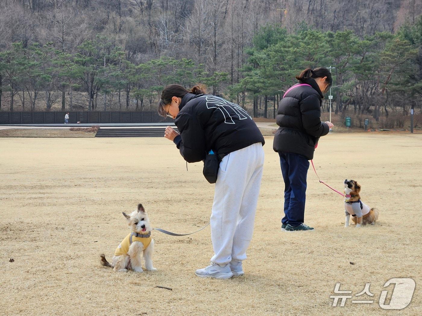 본문 이미지 - 시민학교 산책 교육.(서울시 제공)