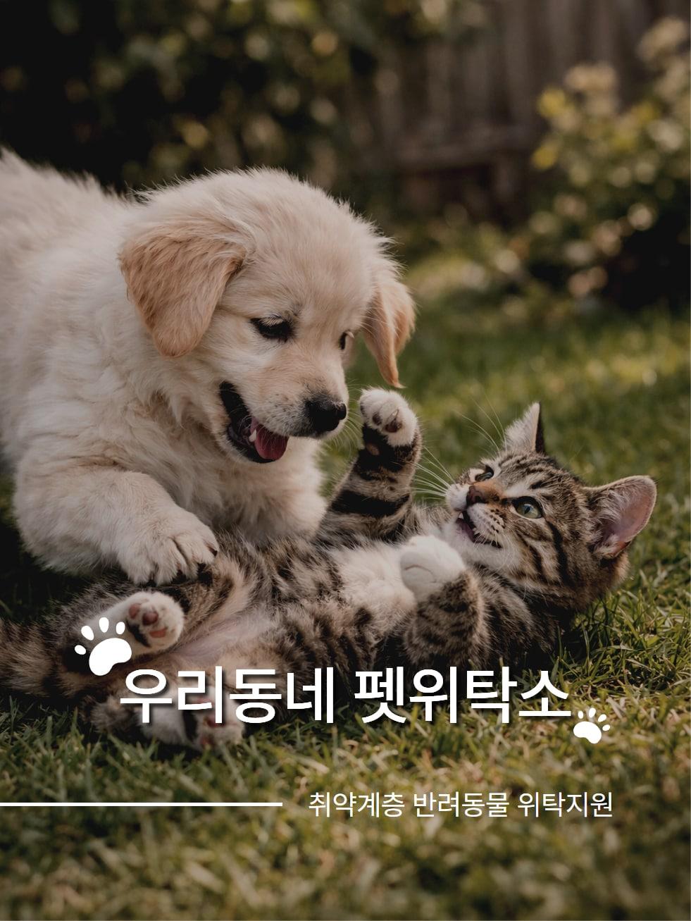 본문 이미지 - 강서구