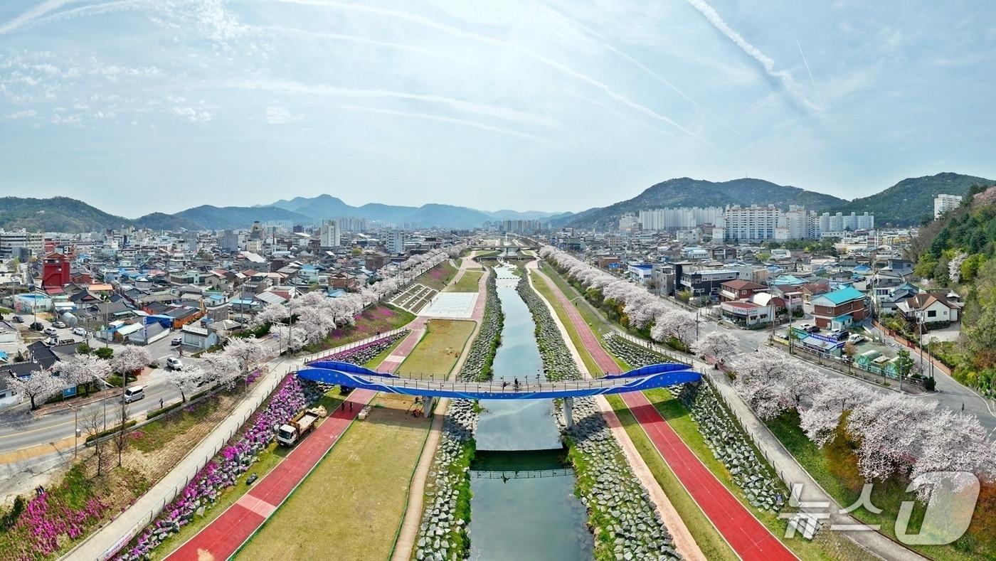 본문 이미지 - 제35회 정읍 벚꽃축제가 4월 3일부터 5일까지 정읍천 어린이축구장 일원에서 열린다.(정읍시 제공. 재판매 및 DB금지)/뉴스1 