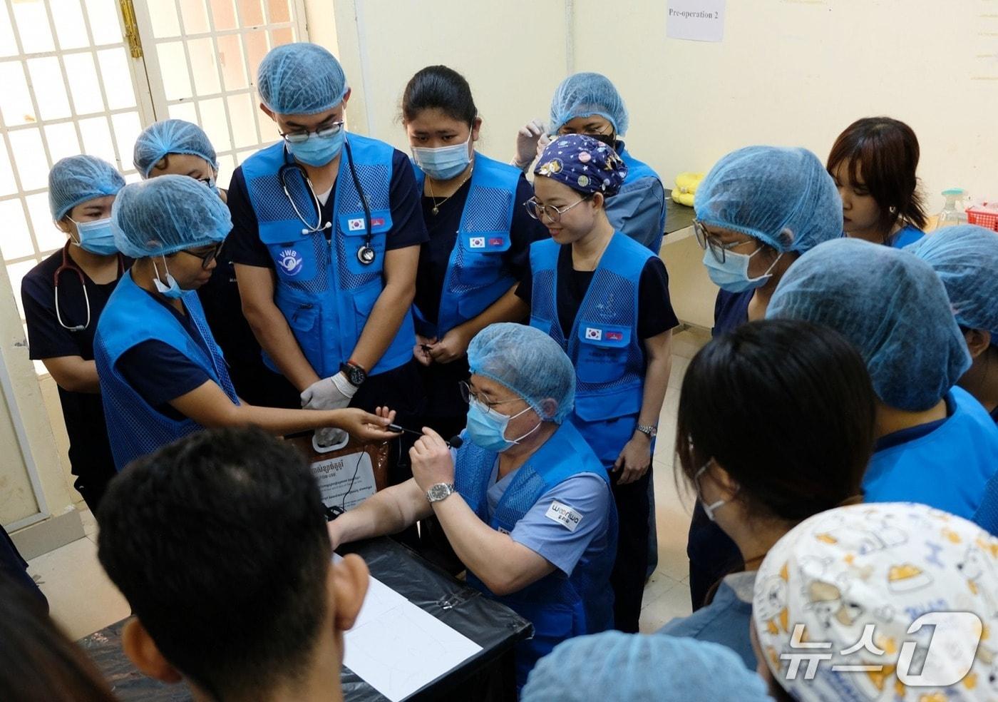 본문 이미지 - 국경없는 수의사회가 캄보디아에서 봉사를 하고 있다(수의사회 제공). ⓒ 뉴스1