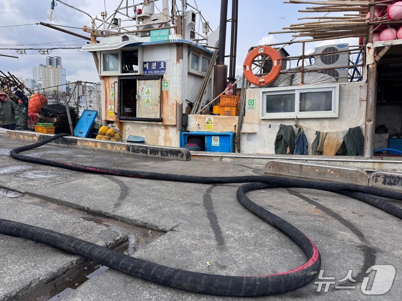 본문 이미지 - 12일 울산 동구 방어진항에 위치한 울산수협 급유소에서 조업을 마친 어선이 주유를 하고 있다.2026.3.12.ⓒ 뉴스1 김세은 기자