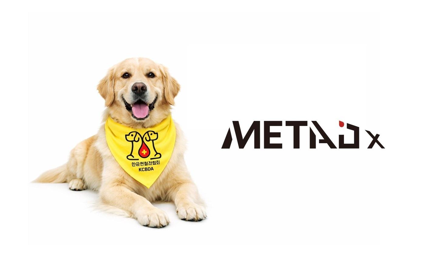 본문 이미지 - 메타디엑스는 한국헌혈견협회와 반려동물 헌혈 관리 체계 강화를 위한 업무협약(MOU)을 체결했다(업체 제공). ⓒ 뉴스1
