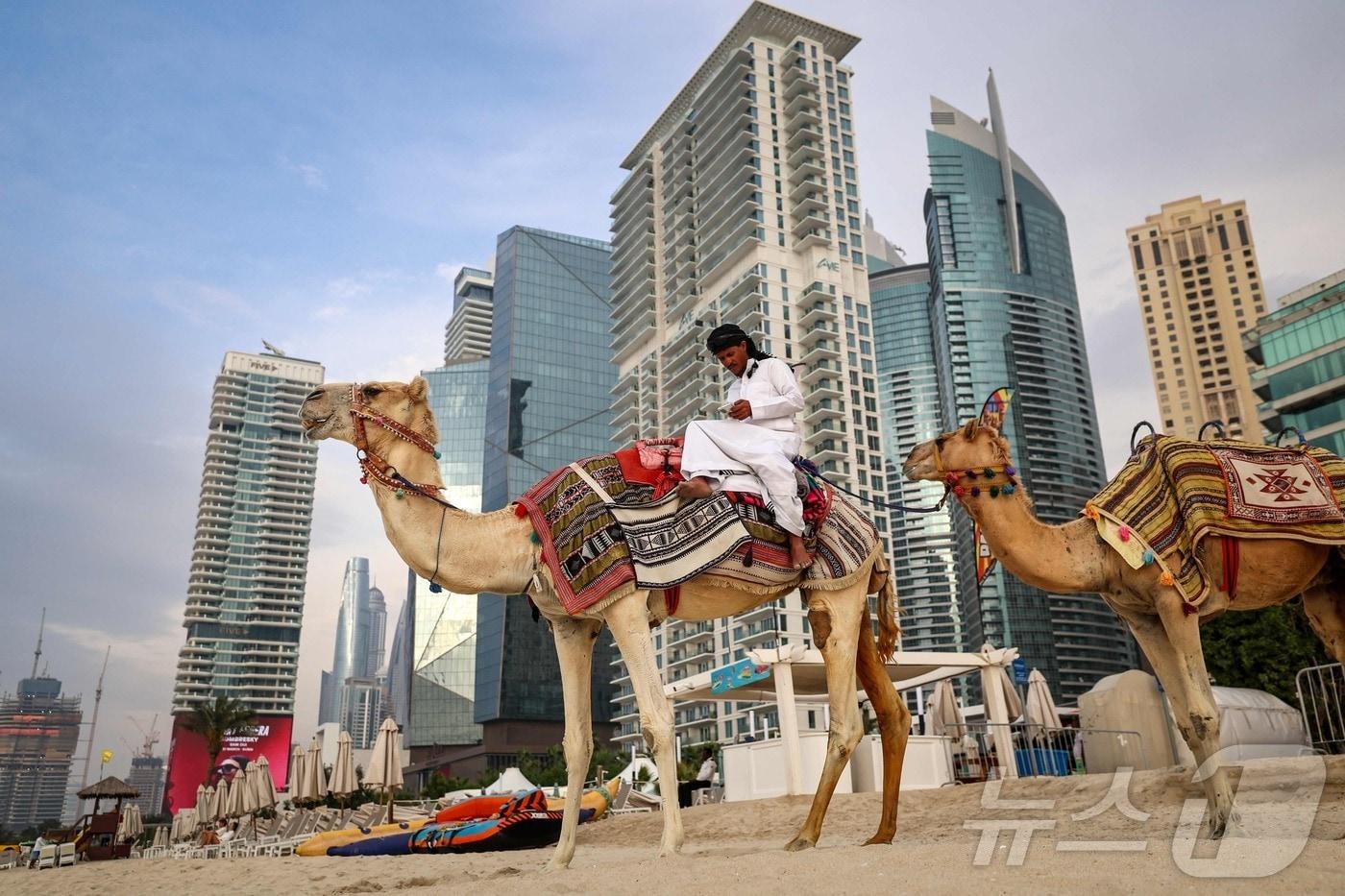 본문 이미지 - UAE 두바이 전경. 2026.03.10 ⓒ AFP=뉴스1