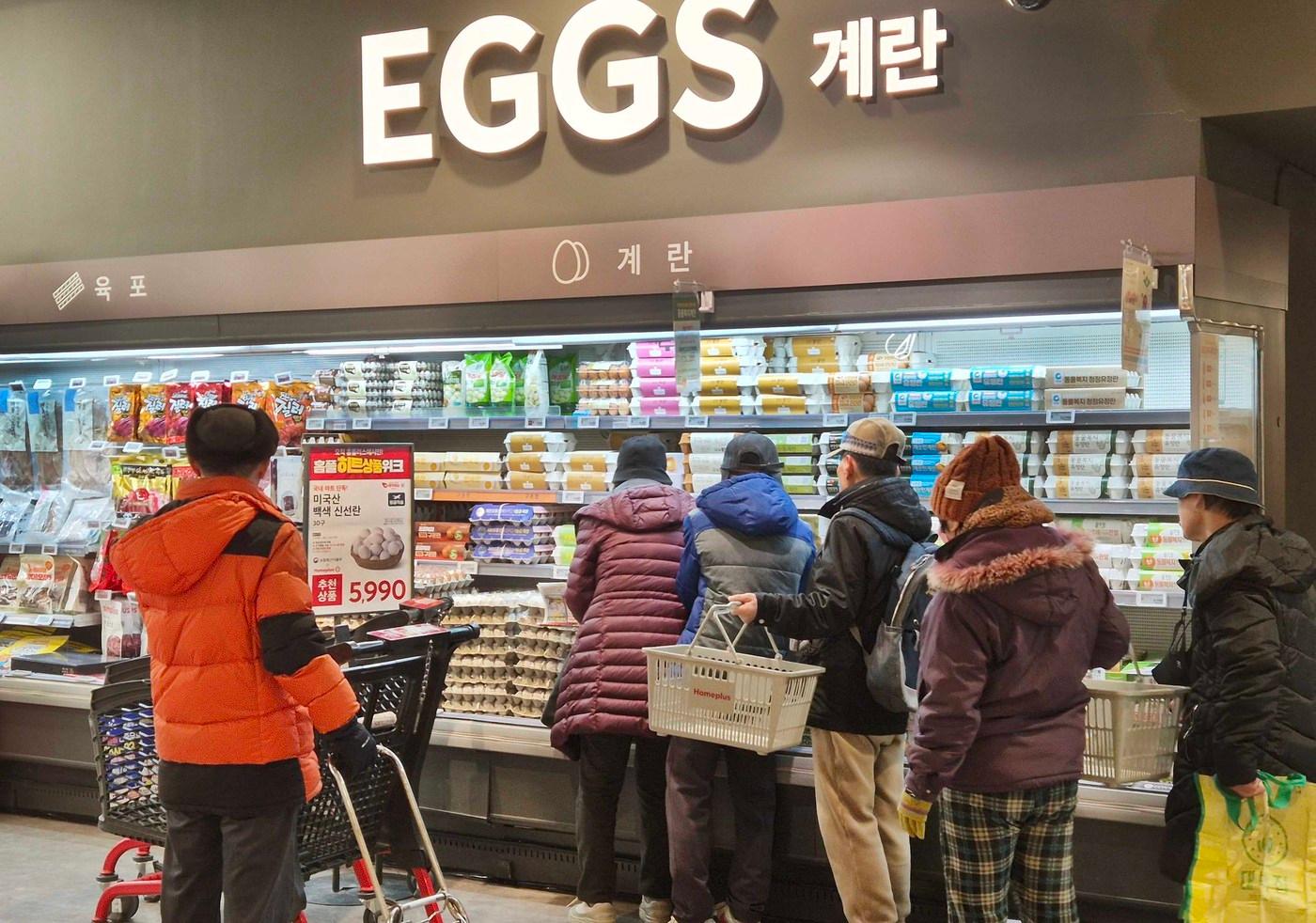 본문 이미지 - 홈플러스 강서점 계란 매대(홈플러스 제공)