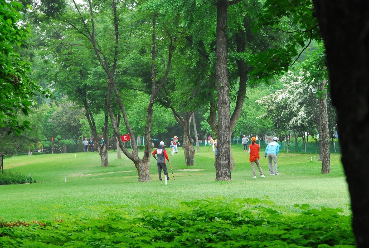 본문 이미지 - 잠실파크골프장 이용객 경기 장면