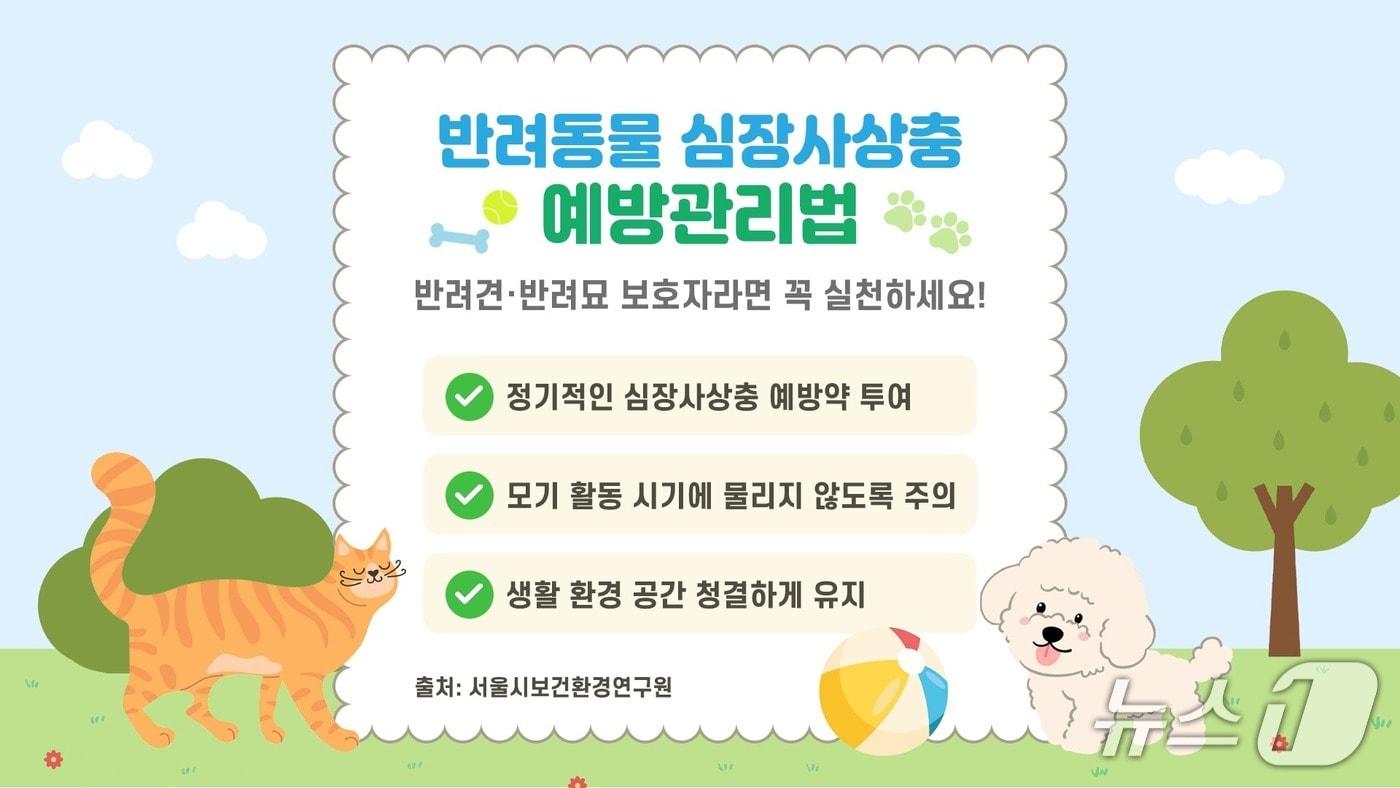 본문 이미지 - 반려동물 심장사상충 예방관리법_도심너구리 심장사상충.(서울시 제공)