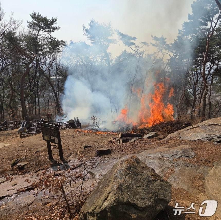 본문 이미지 - 화재 현장. (경기도소방재난본부 제공. 재판매 및 DB금지) 2026.3.12/뉴스1