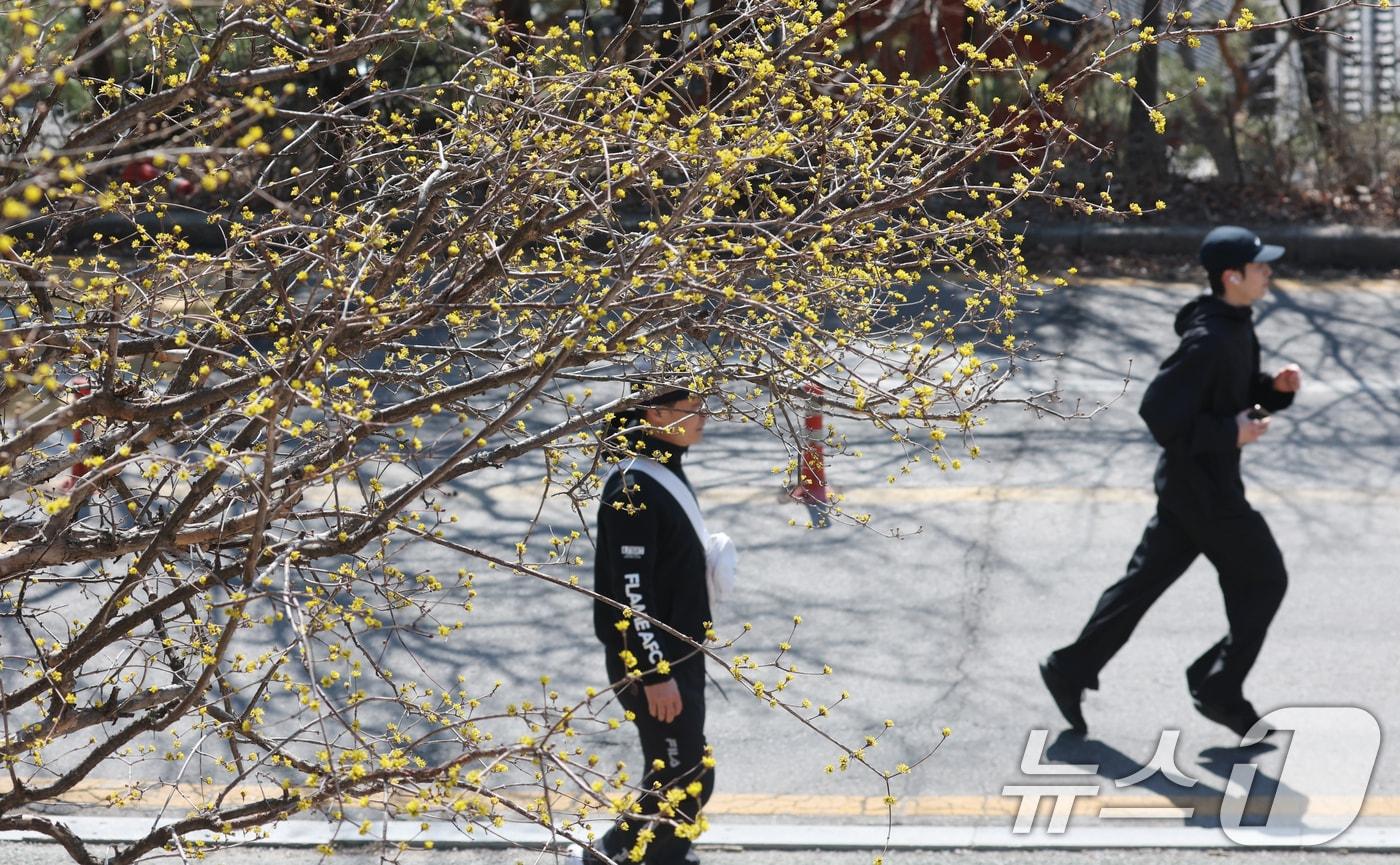 본문 이미지 - 산책하는 시민들.(뉴스1 DB)