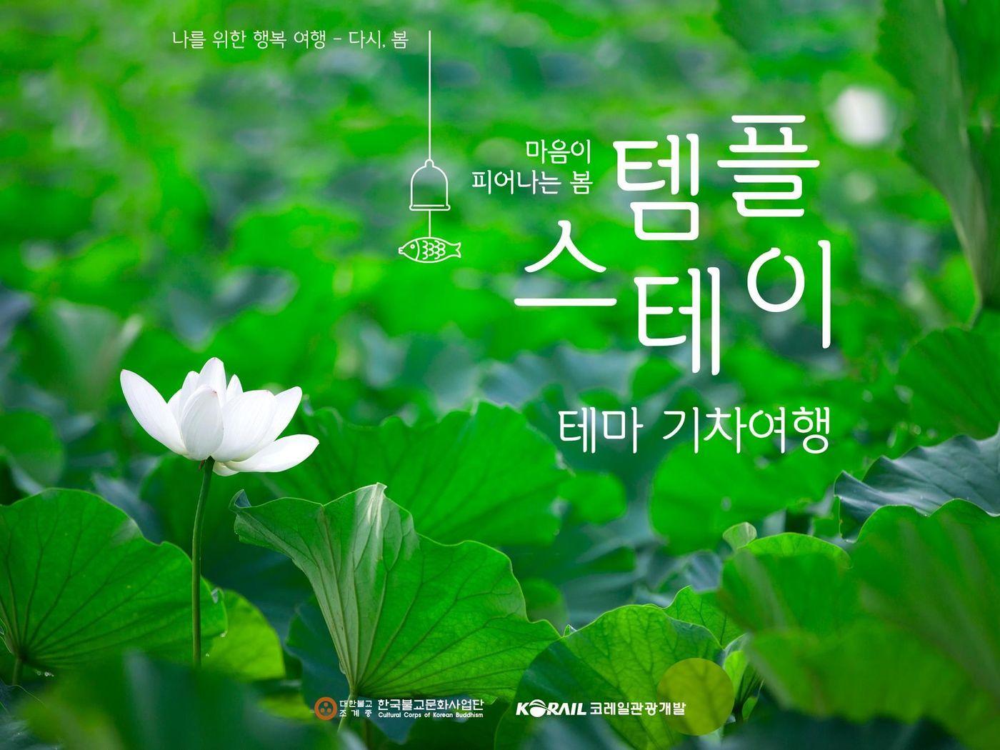 본문 이미지 - 코레일관광개발 템플스테이 포스터.(코레일관광개발 제공)뉴스1ⓒ news1