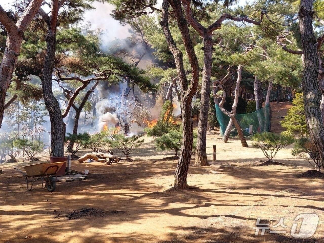 본문 이미지 - 화재 현장. (경기도소방재난본부 제공. 재판매 및 D 금지) 2026.3.13/뉴스1 