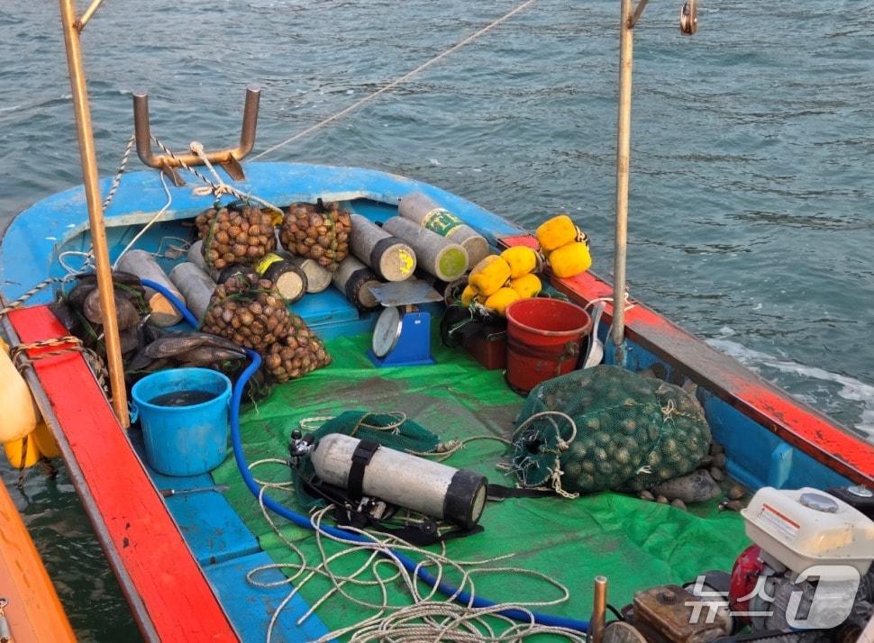 본문 이미지 - 지난 11일 전남 장흥군 득량만 해역에서 잠수부 5명이 불법조업하다 완도해경에 적발된 모습.(완도해경 제공. 재판매 및 DB 금지)
