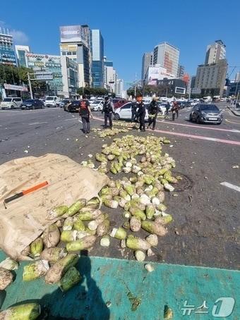 본문 이미지 - 13일 오후 2시10분쯤 제주시 노형오거리를 운행하던 25톤 트럭에서 월동무가 쏟아져 도로에 나뒹굴고 있다. (제주경찰청 제공. 재판매 및 DB 금지) 2026.3.13 ⓒ 뉴스1 홍수영 기자