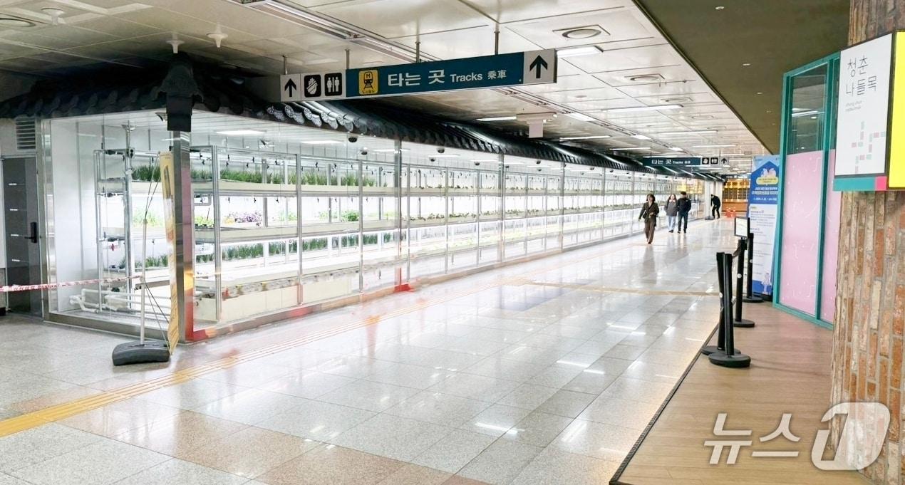 본문 이미지 - 대전역 지하 1층에 마련된 스마트팜.(대전교통공사 제공. 재판매 및 DB금지)/뉴스1