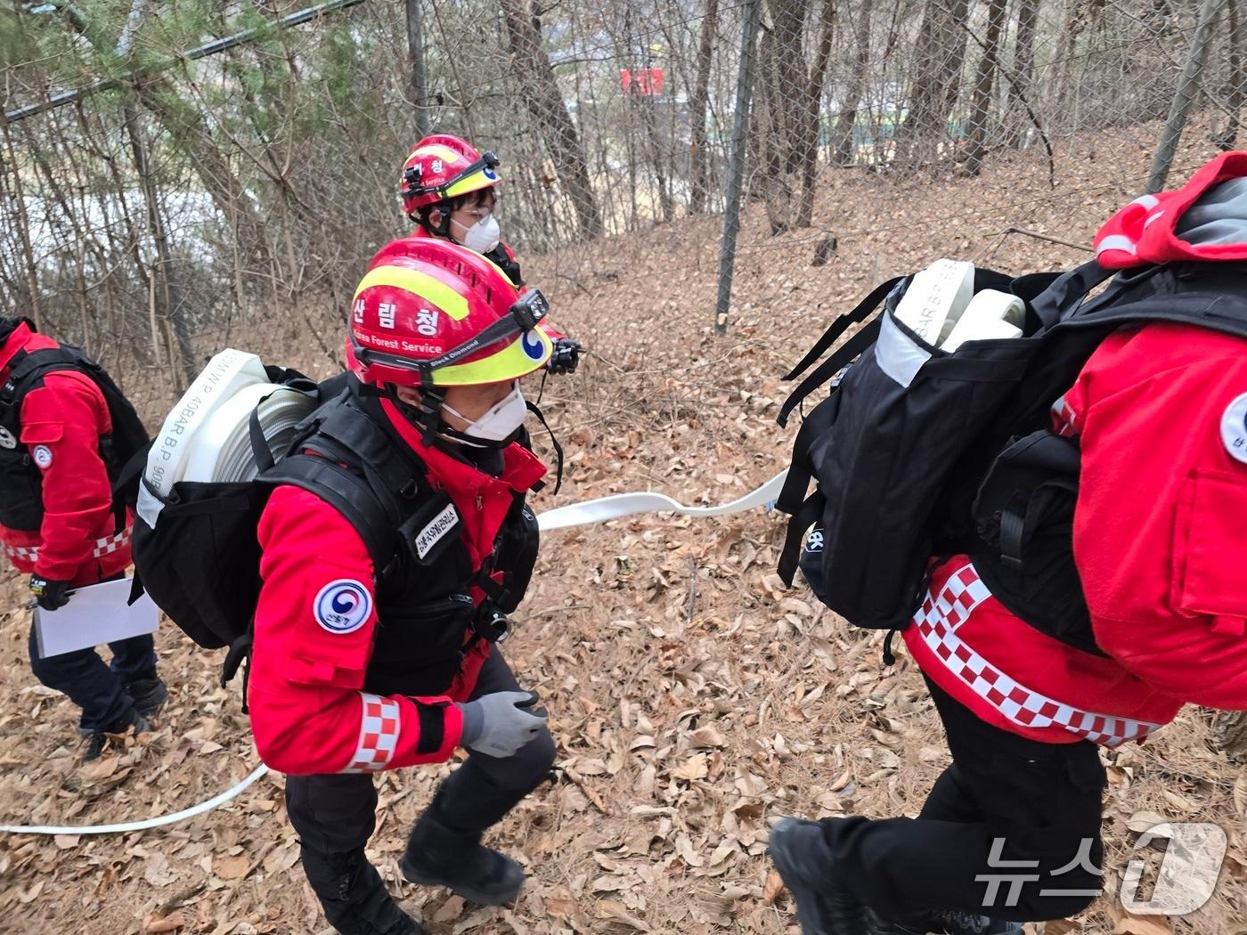 본문 이미지 - 산불진화훈련하는 특수진화대.(동부산림청 강릉국유림관리소 제공, 재판매 및 DB 금지) 2026.3.13/뉴스1