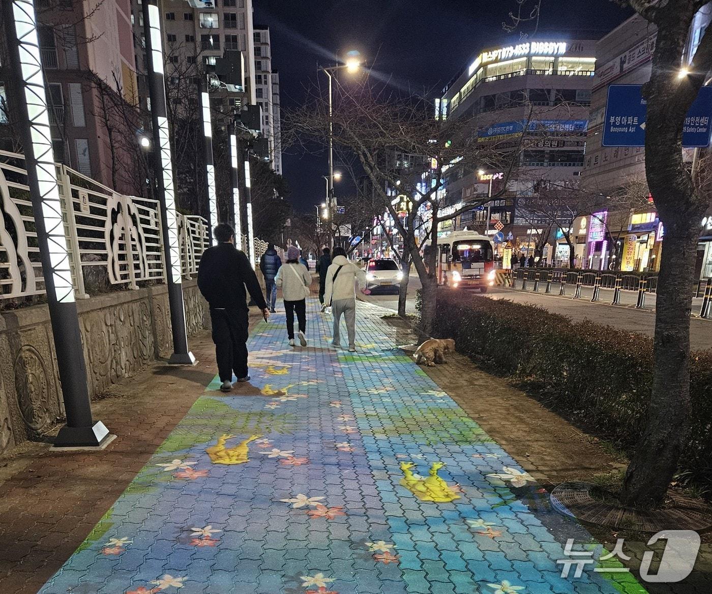 본문 이미지 - 지난 12일 경관조명 설치 사업이 완료된 신호동 중심상가 일대에서 시민들이 밝아진 거리를 걷고 있다.(이자연 강서구의원 제공. 재판매 및 DB금지)