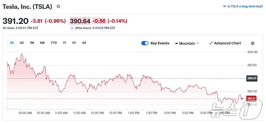 본문 이미지 - 테슬라 일일 주가 추이 - 야후 파이낸스 갈무리