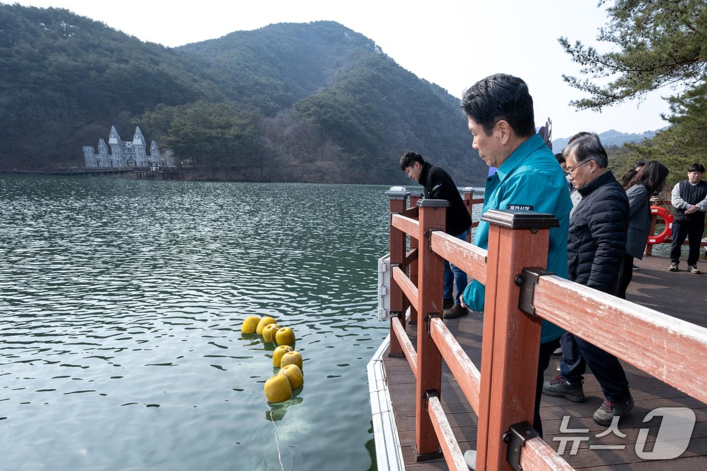 본문 이미지 - 제천시가 모산동 제2의림에서 공어를 이식하고 있다.(제천시 제공. 재판매 및 DB금지)  