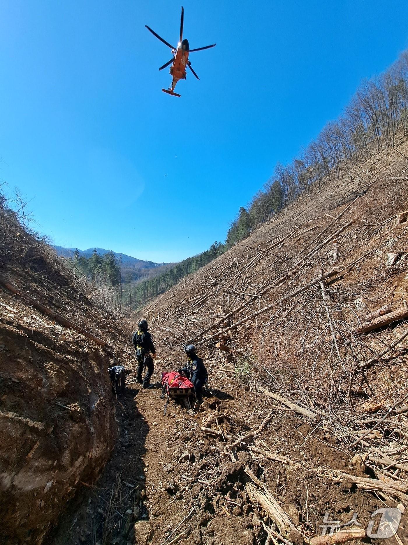 본문 이미지 - 벌목사고 현장.(강원도소방본부 제공, 재판매 및 DB 금지)