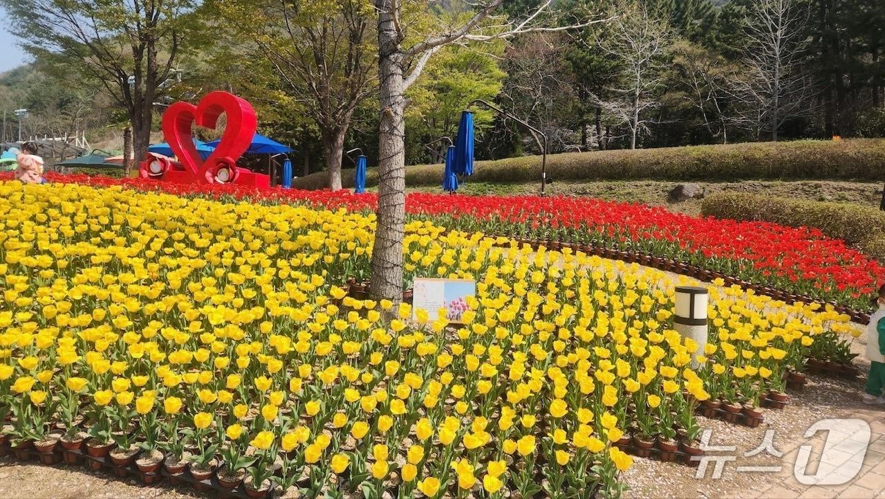 본문 이미지 - 독봉산 웰빙공원 내에 피어난 봄꽃들.(거제시 제공. 재판매 및 DB금지)