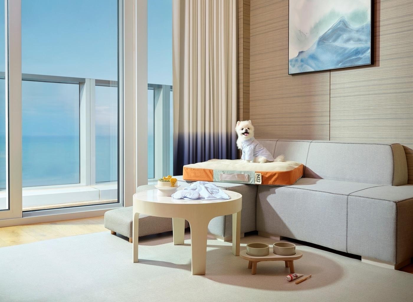 본문 이미지 - N32, 시그니엘 부산에 'N32 쪼꼬미' 공급 (N32 제공)