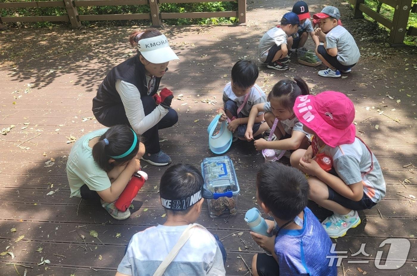 본문 이미지 - 진천군 산림교육 프로그램 진행 모습.(진천군 제공. 재판매 및 DB금지)