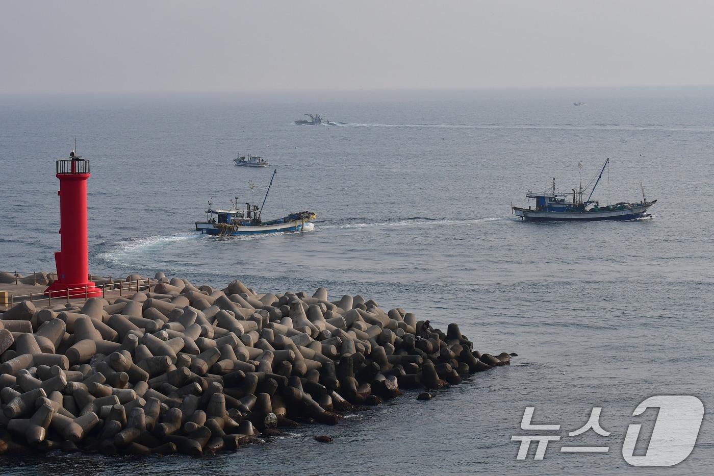 본문 이미지 - 영덕 앞바다 자료사진/ ⓒ 뉴스1 