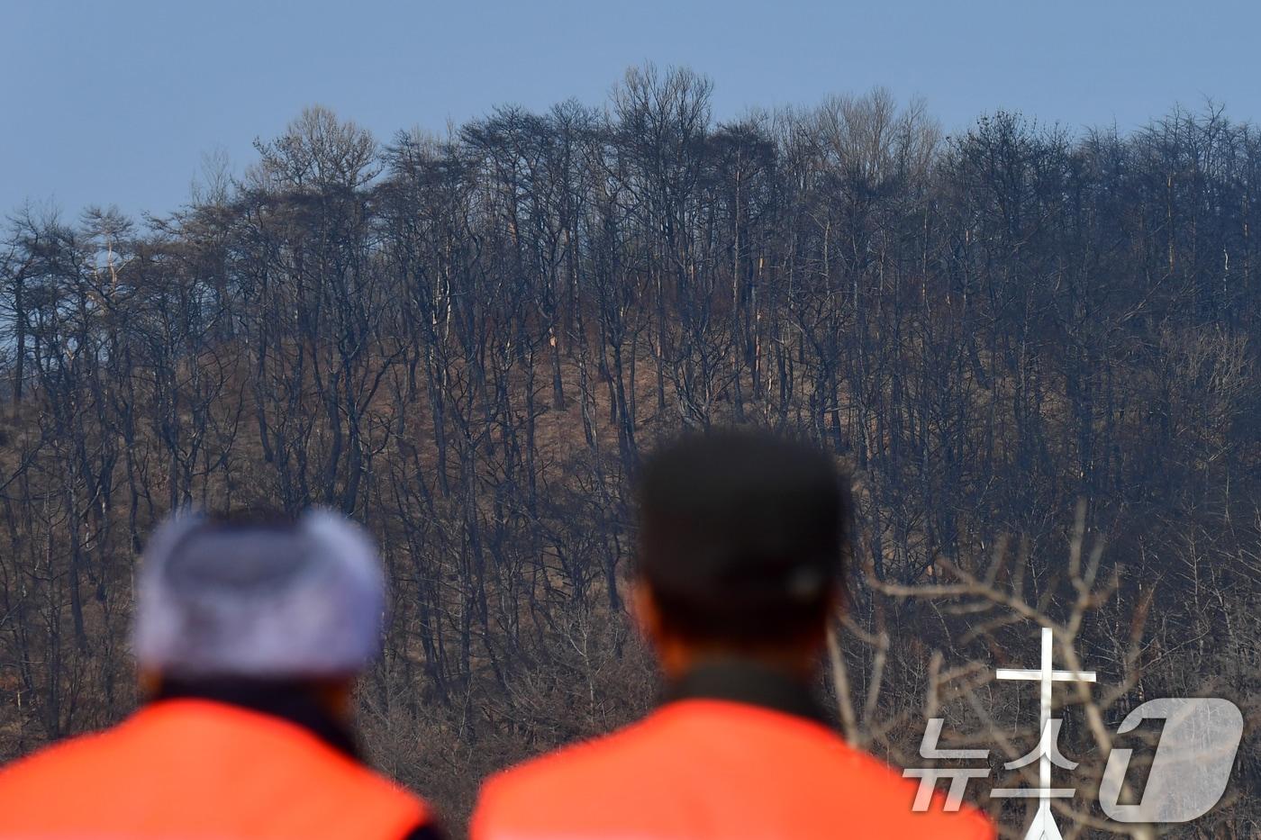 본문 이미지 - 16일 오전 지난해 3월 산불 피해지역인 경북 영덕군 영덕읍 석리 해안 마을(일명 따개비 마을)에서 주민들이 불에 탄 마을 뒷편 산을 지켜보고 있다. 노물리는 지난해 3월 22일 의성군에서 발생한 산불이 강풍을 타고 확산되면서 피해가 발생한 지역이다. 산불로 영덕군에서는 약 2만ha(군 전체 면적 약 27%)가 불에 타는 피해가 발생했다. ⓒ 뉴스1 최창호 기자