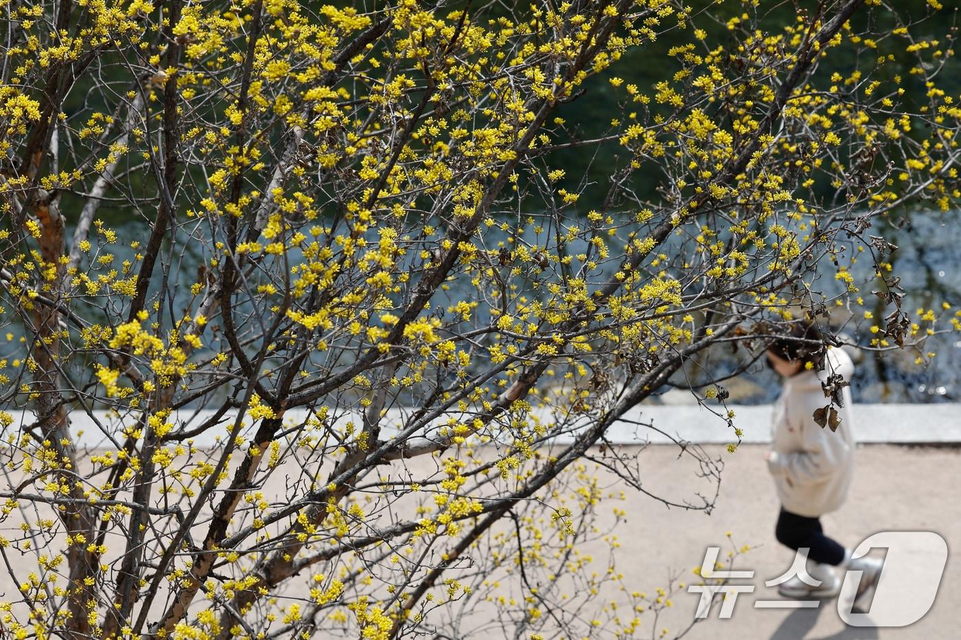 본문 이미지 - 〈자료사진〉