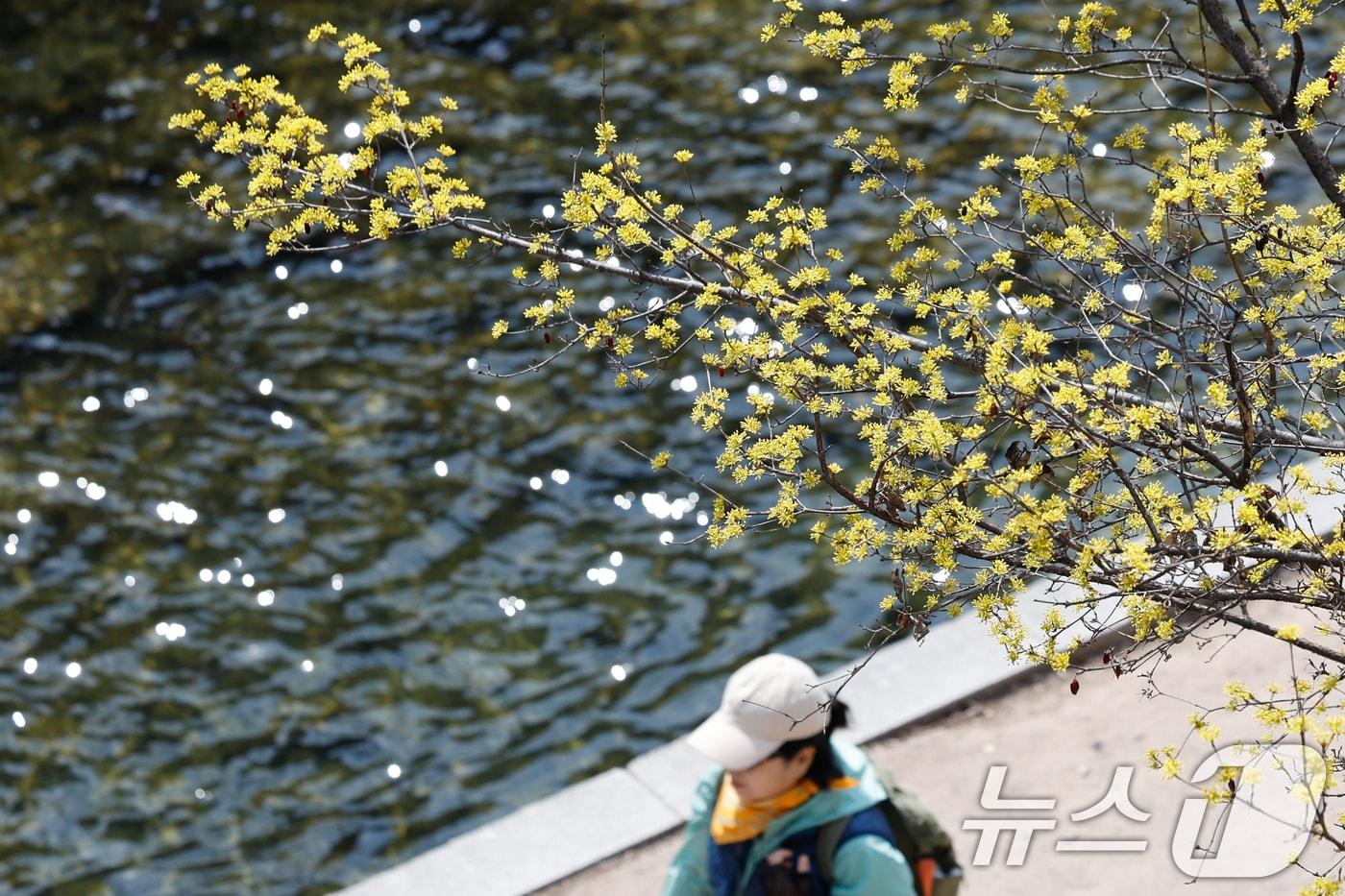 본문 이미지 - 자료사진./뉴스1