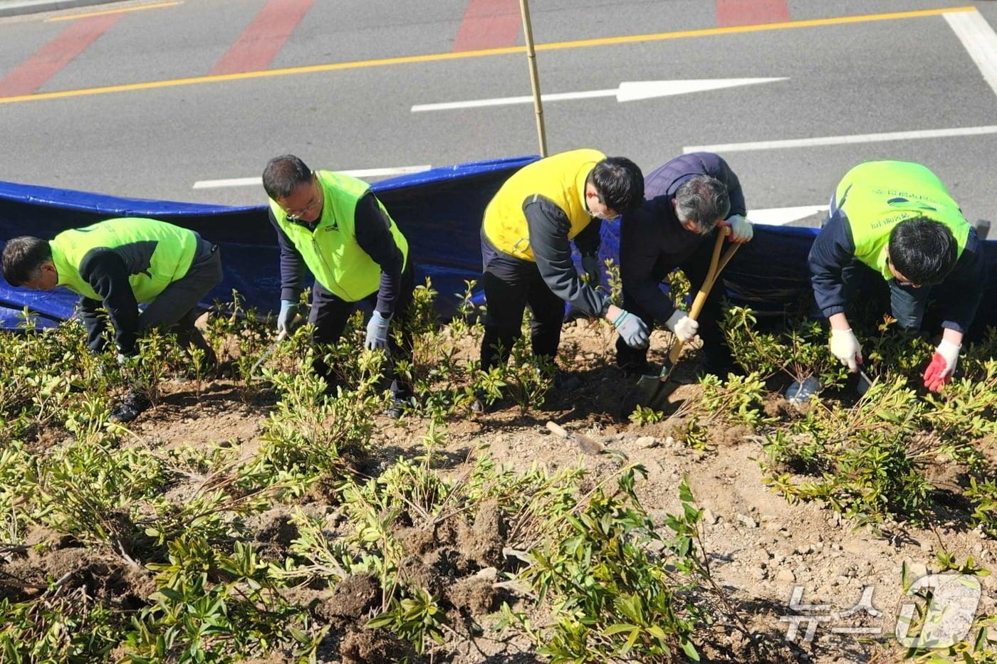 본문 이미지 - 지난 13일 부산 사하구 감천문화마을 인근 야산에서 진행된 식목행사 모습 (남부발전 제공. 재판매 및 DB금지)