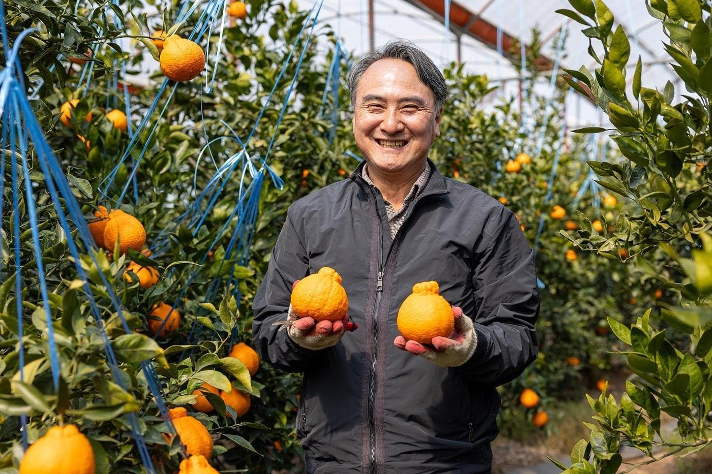 본문 이미지 - 고일학 제주남원농협 조합장(쿠팡 제공)