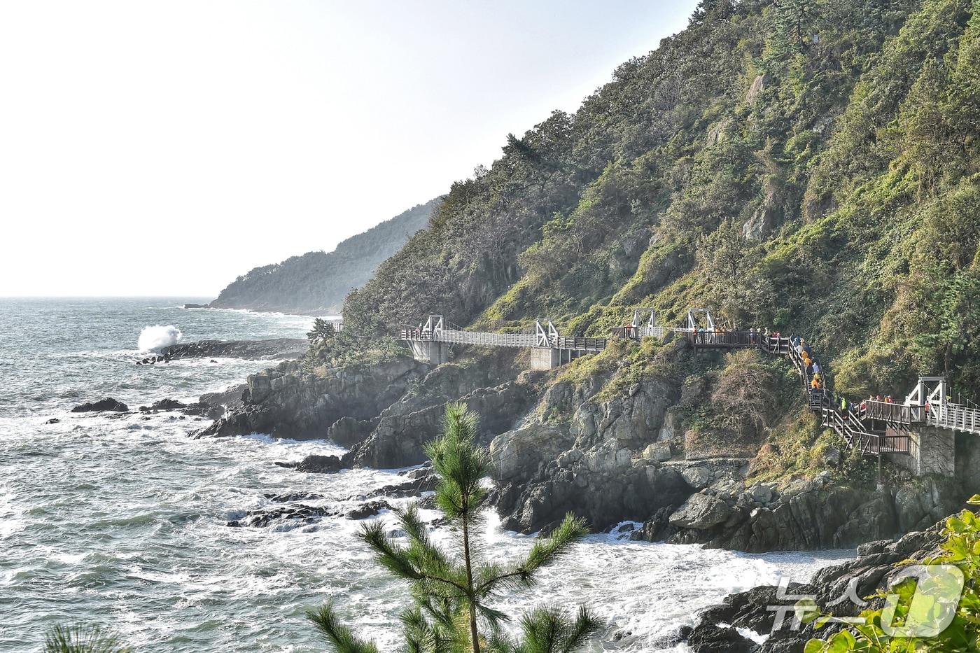 본문 이미지 - 부산 남구 이기대 해안산책로 일원.(부산시 제공. 재판매 및 DB금지)