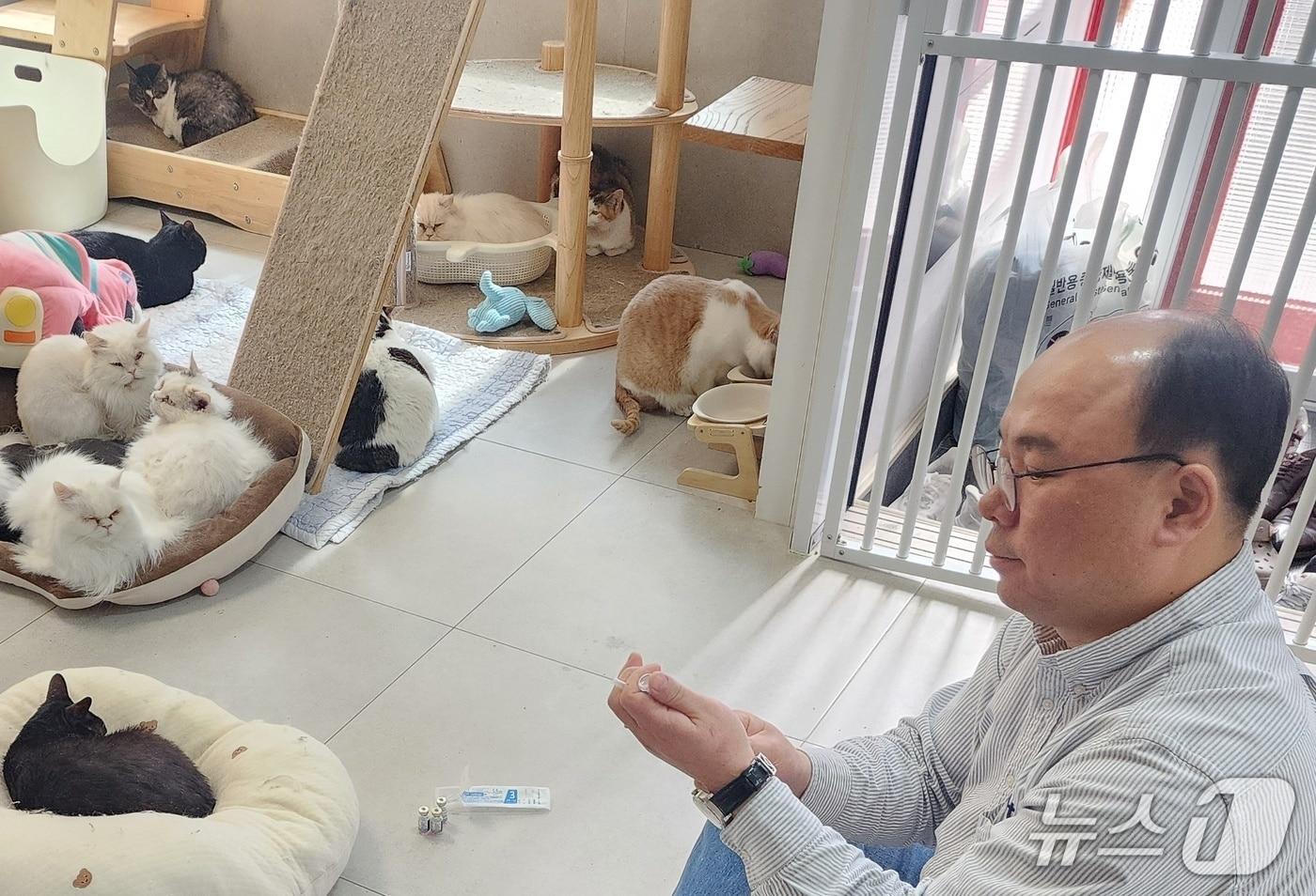 본문 이미지 - 코벳과 SKY동물메디컬센터는 8일 나비야사랑해 보호소에서 봉사활동을 실시했다(코벳 제공). ⓒ 뉴스1