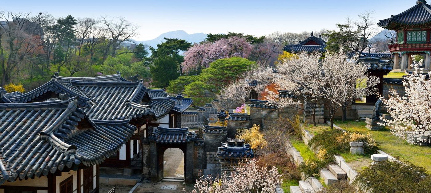 본문 이미지 - 창덕궁 낙선재 후원 화계(사진=국가유산청 국가유산포털)